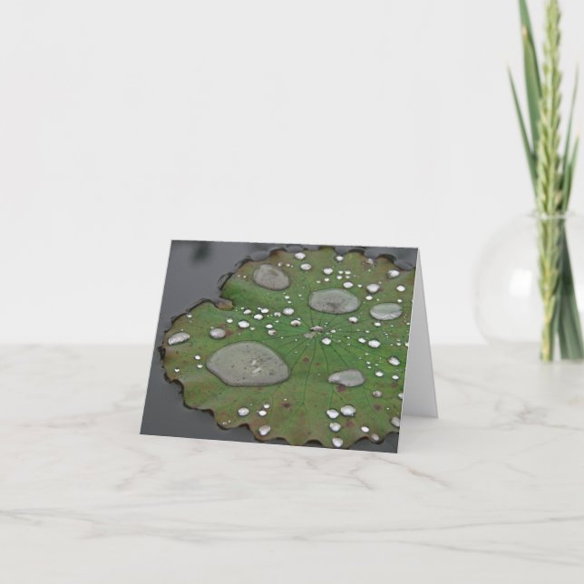 Cartes de notes Lily Pad (Devant)