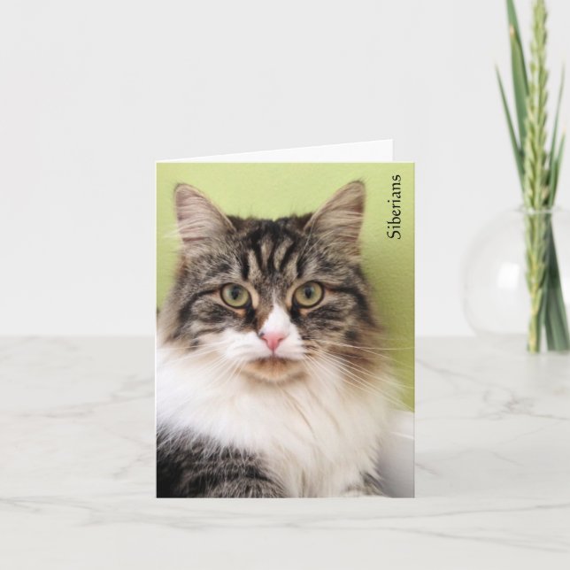 Cartes de notes magiques de Sibérie (Devant)