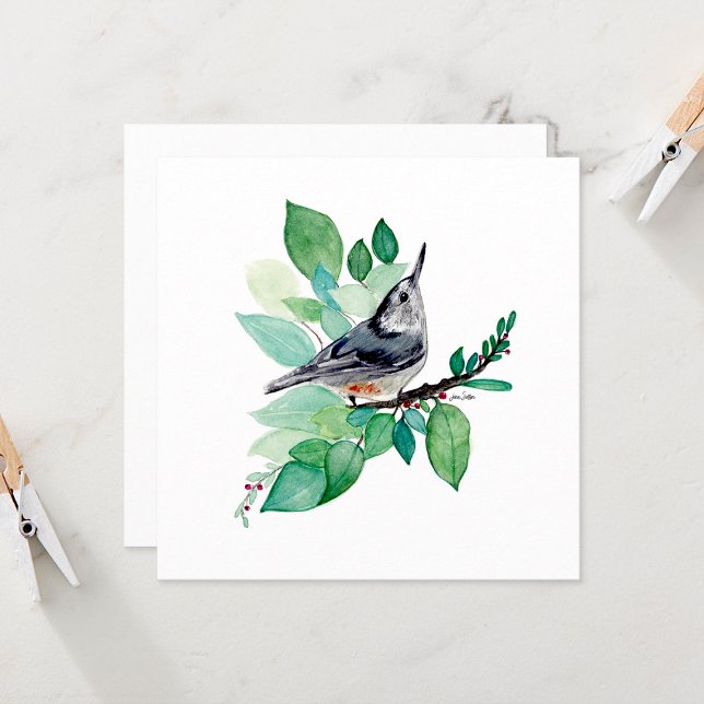Cartes de notes Nuthatch Watercolor (Nuthatch Elegant Watercolor blank square note cards from Jenn Steffen Art)