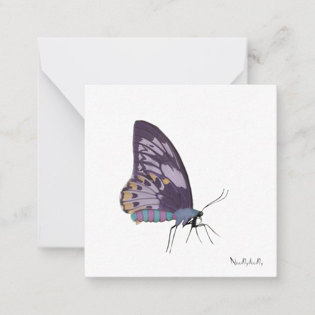 Cartes de notes papillon (Devant)