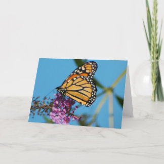 Cartes de notes papillon