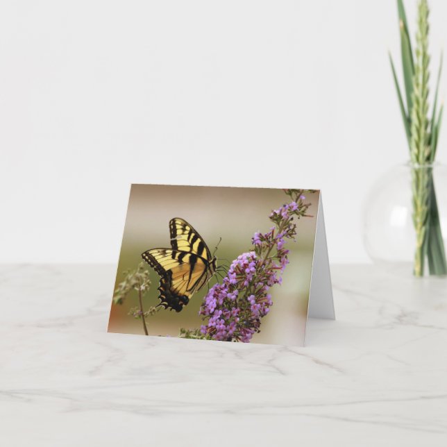 Cartes de notes papillon (Devant)