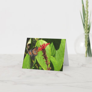 Cartes de notes papillon Non spécifique
