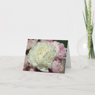 Cartes de notes Peonies Roses Blanches / Peony Ros