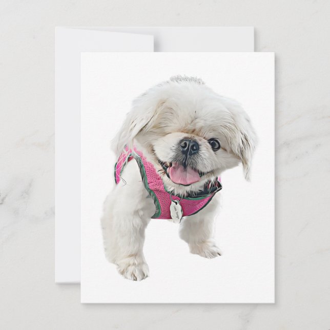 Cartes de notes Peter Rottentail (Devant)