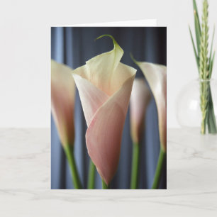 Cartes de notes photo de calla lily blanc pour coc