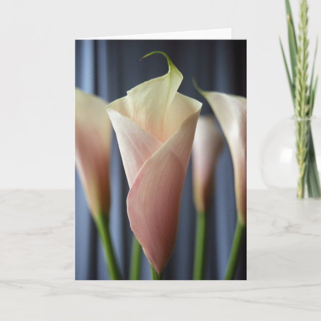 Cartes de notes photo de calla lily blanc pour coc (Devant)