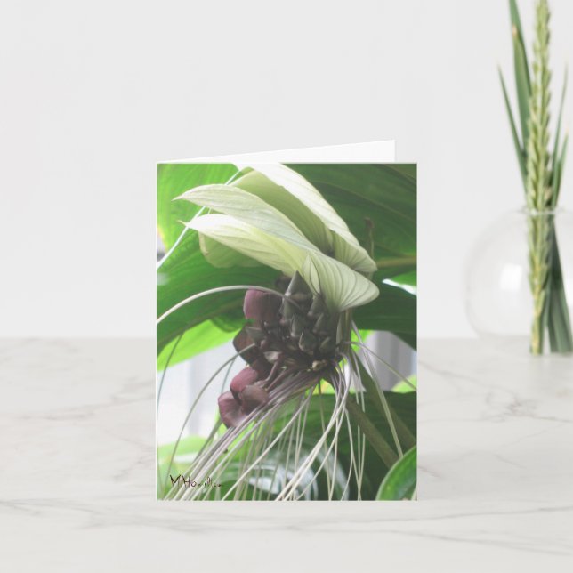 Cartes de notes Plantes tropicales (Devant)