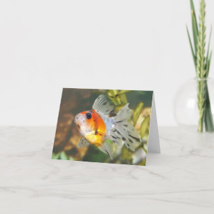 Cartes de notes pour poisson rouge à seigle