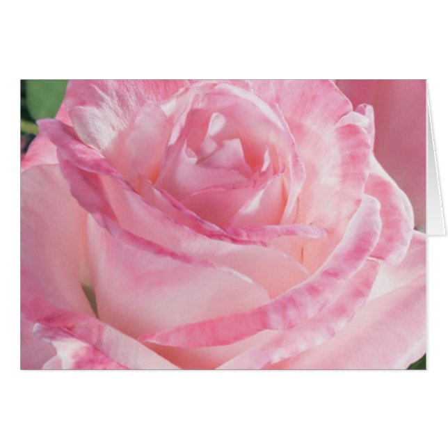 Cartes de notes rose (Devant Horizontal)