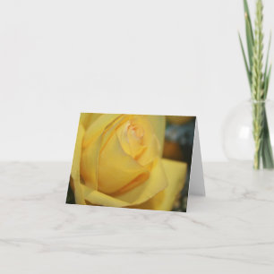 Cartes de notes rose jaune