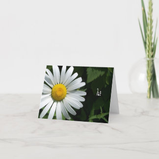 Cartes de notes Shasta Daisy