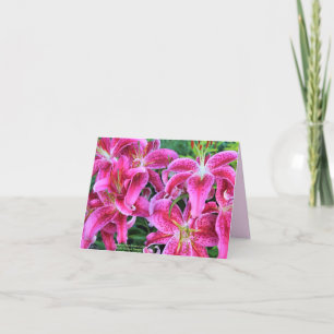 Cartes de notes Stargazer Pink Oriental Lilies