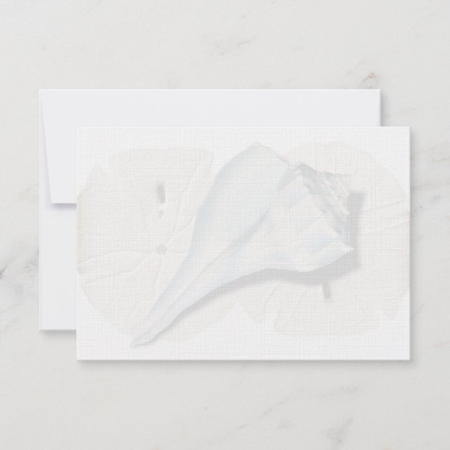 Cartes de notes vierges Coquille de Buccin (Devant)