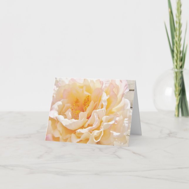 Cartes de notes White Peony (Devant)