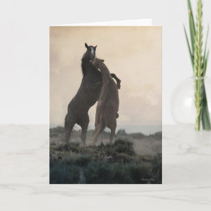 Cartes de notes Wild Stallions