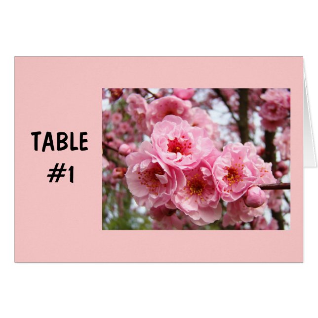 Cartes de Numéro de Table Fleurs Roses Fêtes de Pr (Devant Horizontal)