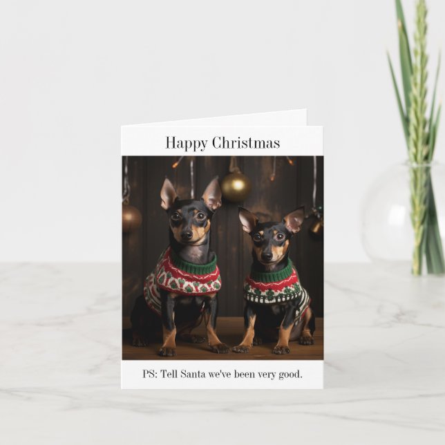 Cartes de pare-chocs Manchester Terriers de Noël (Devant)