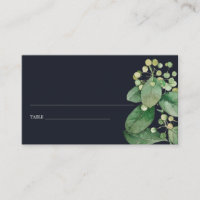 CARTES DE PLACE VERTE EN FELEFY DE BERRY NOIR
