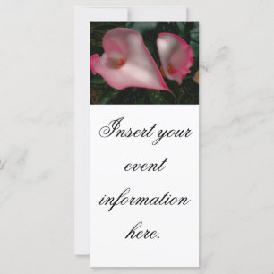 Cartes de présentoir de calla lily