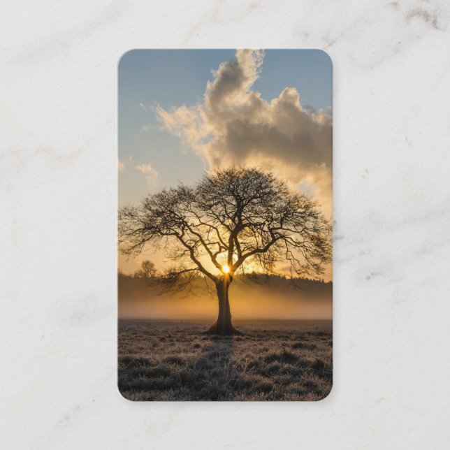 Cartes de prière | Lone Tree Deluxe (Devant)