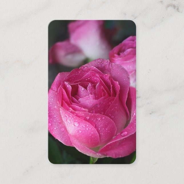 Cartes de prière | Rose précis (Devant)