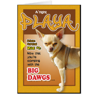 Cartes de prison - Dawg supérieur