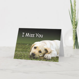 Cartes de prison - Miss U