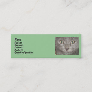 Cartes de profil Little Grey Kitts