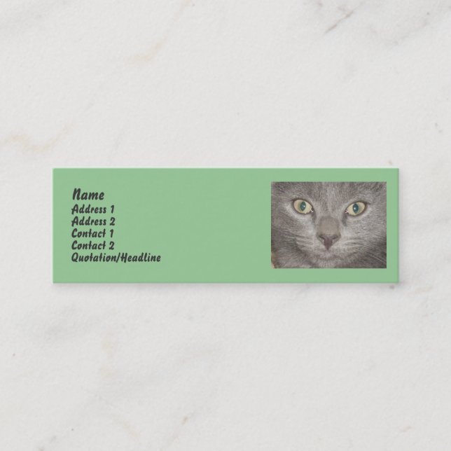Cartes de profil Little Grey Kitts (Devant)