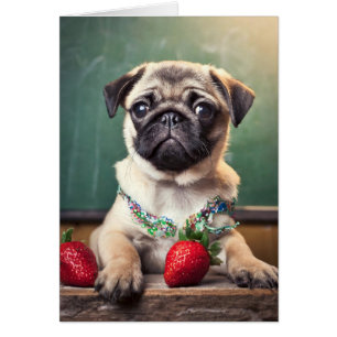 Cartes de pug