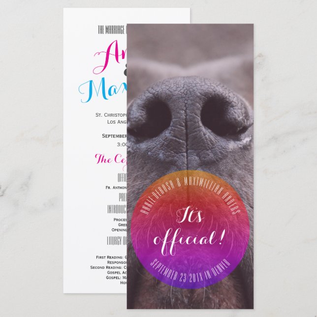 Cartes de rangement Dognose (Devant / Derrière)