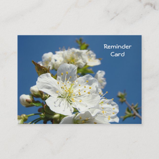Cartes de rappel de rendez-vous Fleurs de ciel ble (Devant)