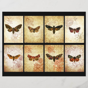 Cartes de rebut ATC vintage Moth