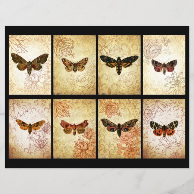 Cartes de rebut ATC vintage Moth (Devant)