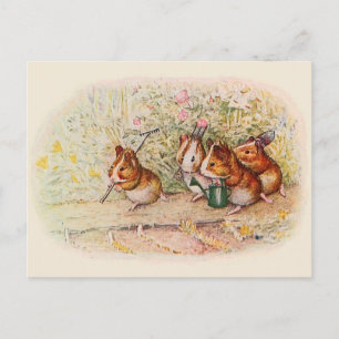 Cartes de recettes pour cochons d'Inde jardiniers