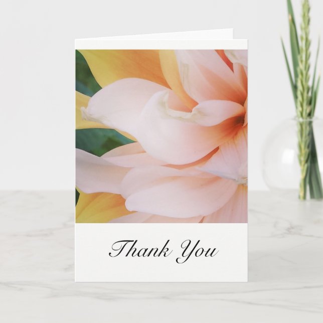 Cartes de remerciement (Devant)