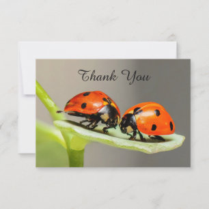 Cartes de remerciement coccinelles coléoptères à p