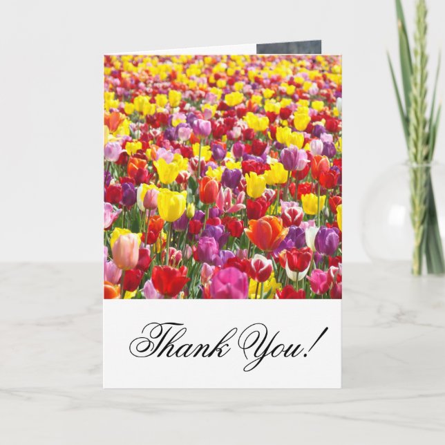 Cartes de remerciement Fleurs de tulipe Merci (Devant)