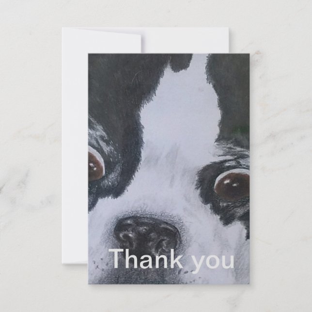 Cartes de remerciement pour Boston Terrier (Devant)