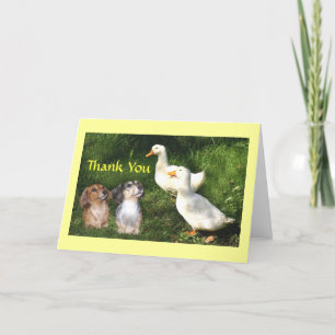 Cartes de remerciements avec canards