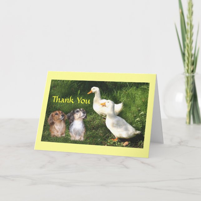 Cartes de remerciements avec canards (Devant)