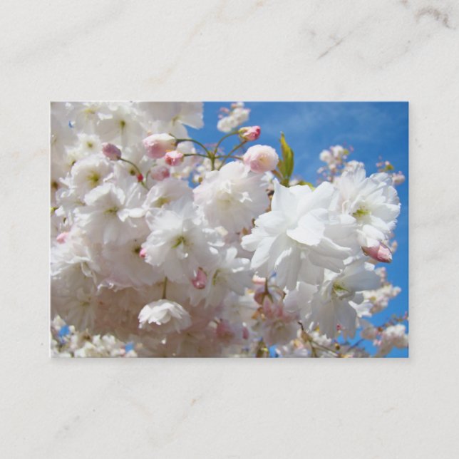 Cartes de rendez-vous de printemps Fleurs en fleur (Devant)