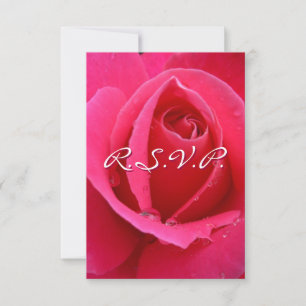 Cartes de rose personnalisées RSVP Rose rose