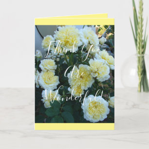 Cartes de roses jaunes David Austin du jardin de r