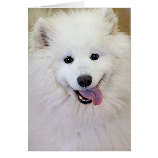 Cartes de salutation/note de race de chien de
