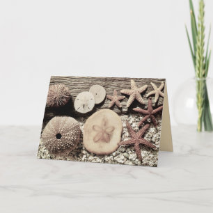 Cartes de Sanibel & Captiva