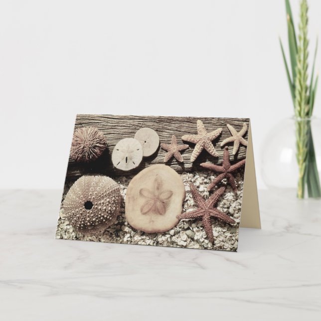 Cartes de Sanibel & Captiva Coquilles (Devant)