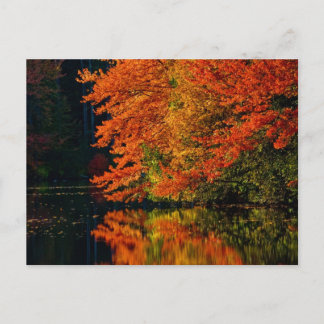 Cartes de Save The Dates pour mariages