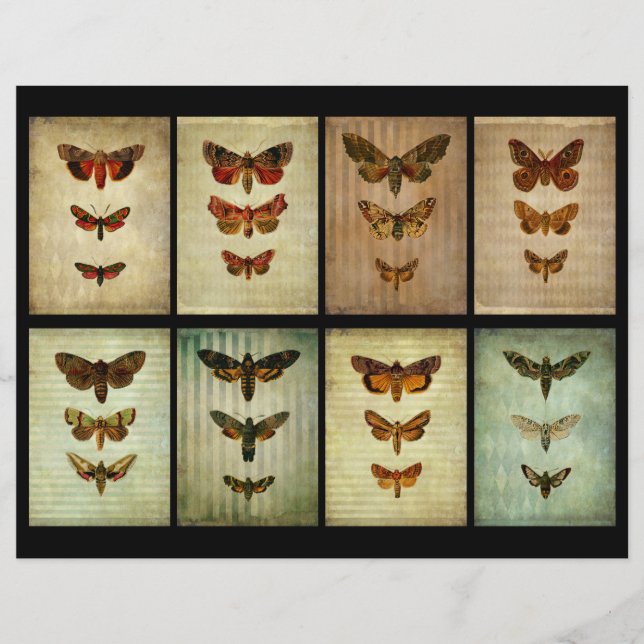Cartes de scrapbook ATC Moth Style Victorien (Devant)